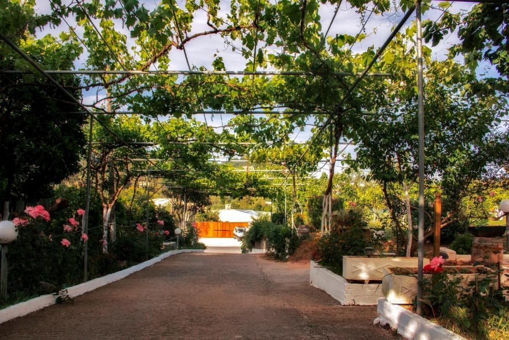 Athineos Apartments Kommeno  Dış mekan fotoğraf
