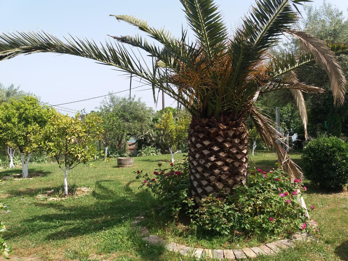 Athineos Apartments Kommeno  Dış mekan fotoğraf