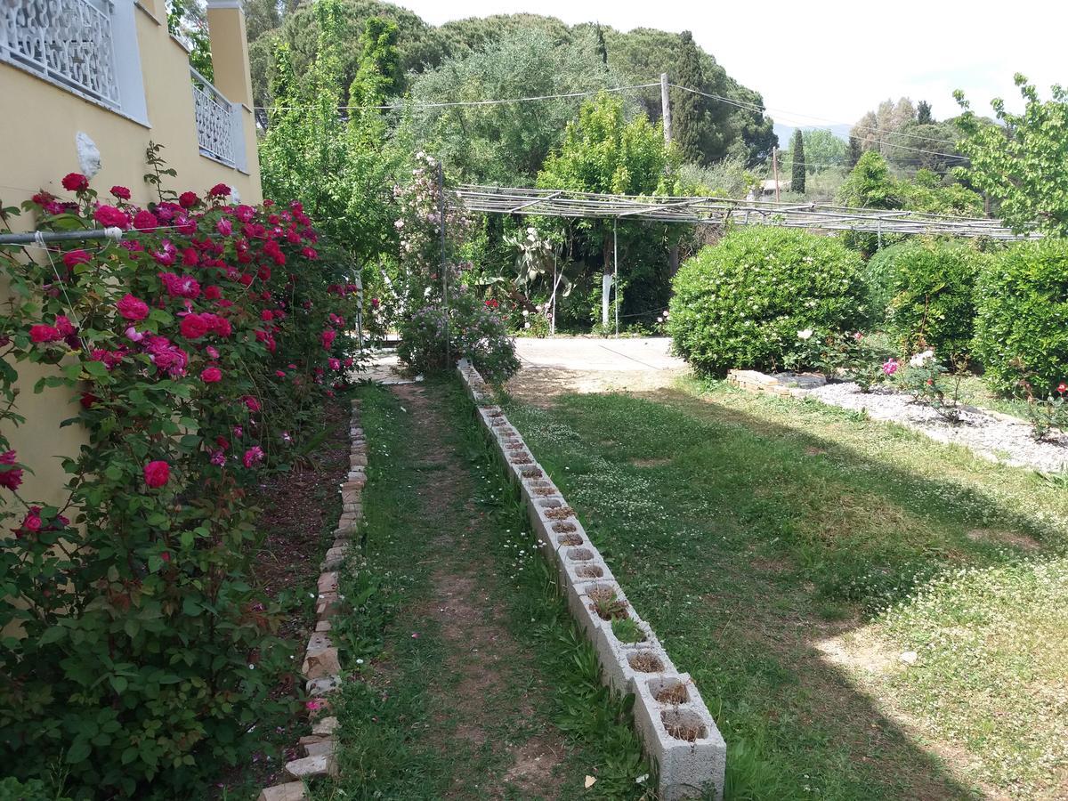 Athineos Apartments Kommeno  Dış mekan fotoğraf