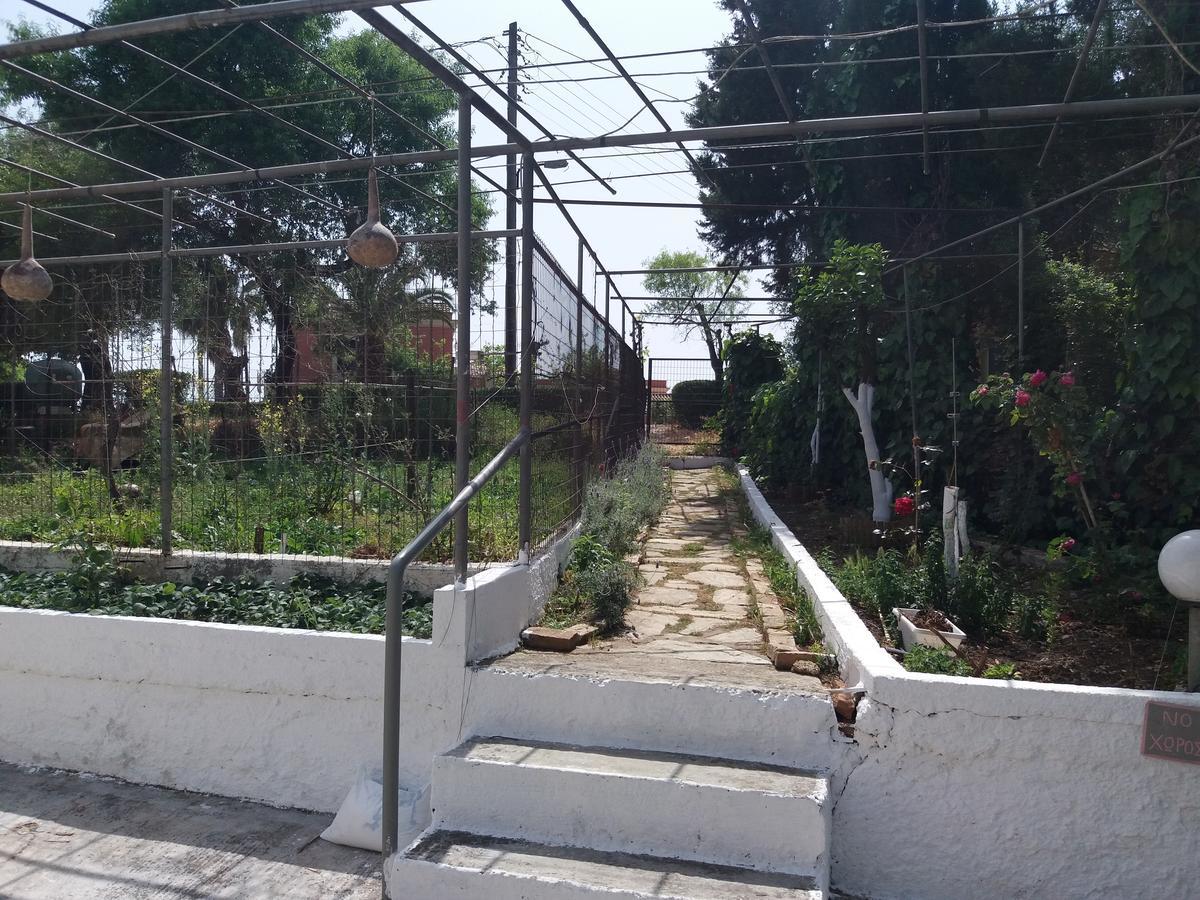 Athineos Apartments Kommeno  Dış mekan fotoğraf